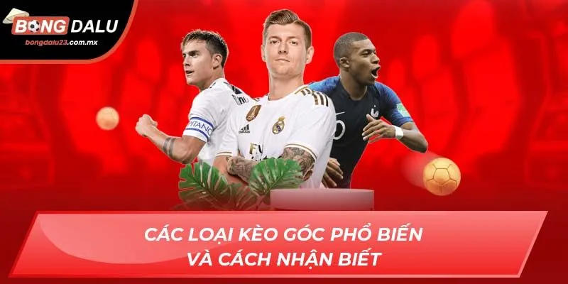 Các loại kèo góc phổ biến và cách nhận biết