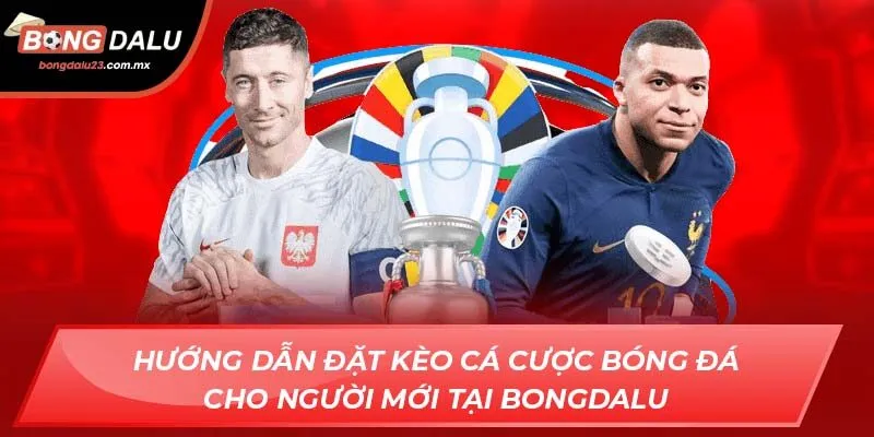 Hướng Dẫn Đặt Kèo Bóng Đá Cho Người Mới Tại Bongdalu