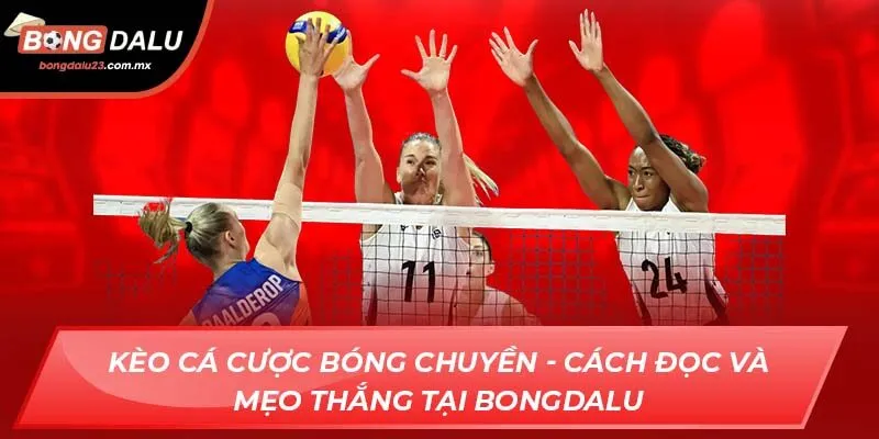 Kèo Cá Cược Bóng Chuyền - Cách Đọc Và Mẹo Thắng Tại Bongdalu
