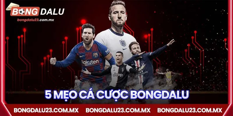 Chia sẻ 5 mẹo cá cược bóng đá lu giúp nâng cao tỷ lệ thắng